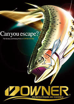 OWNER CAN YOU ESCAPE