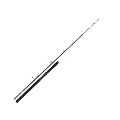 Въдица за риболов на сом Fil Fishing HERCULES CATFISH 1.98м/ 100-300гр