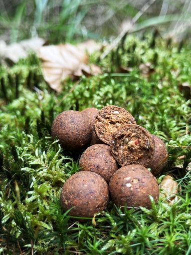 Протеинови топчета Starbaits CRAYZI FRUIT