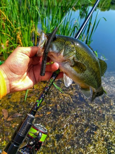 Силиконови червеи Gunki SKIP WORM - 10см