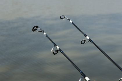 Въдица за риболов на сом Fil Fishing TAURUS 2.65м/ 450гр
