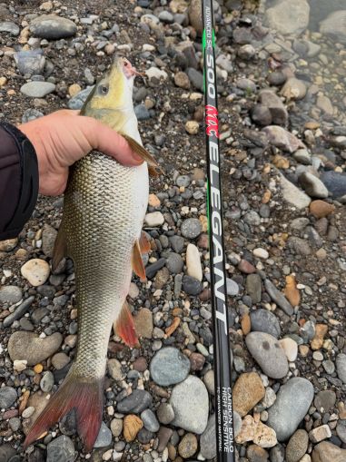 Болонезе Fil Fishing ELEGANT BOLO 5.0м/ до 30гр