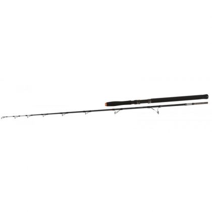 Въдица за риболов на сом Fil Fishing HERCULES CATFISH 1.98м/ 100-300гр