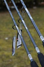 Въдица за риболов на сом Fil Fishing GIANT CATFISH 3.20м/ 600гр