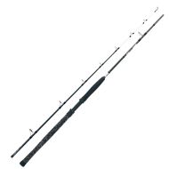 Въдица за риболов на сом Fil Fishing GIANT CATFISH 3.20м/ 600гр