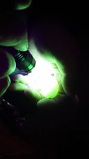 Фенер Owner UV FLASHLIGHT FT-81